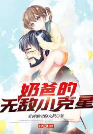 无敌奶爸流小说