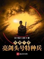 我真不是亮剑头号特种兵校对版