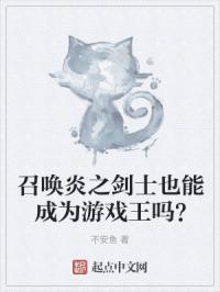 游戏王炎之剑豪