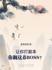 让你打副本你搁这养boss无错