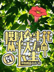 模拟牵牛花，从半天寿命到长生