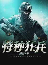 特种狂兵陆辰全文