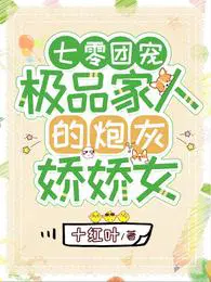 七零团宠:极品家人的炮灰娇娇女十红叶 / 著106.6万字