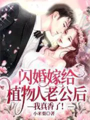 闪婚嫁给神秘老公