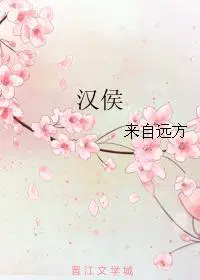 汉侯讲的什么