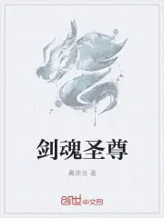 剑魂圣者遴选什么词条