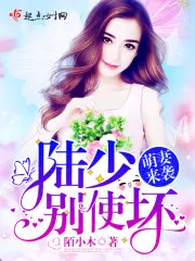 陆少来袭:萌妻哪里逃