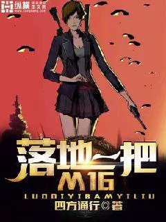 落地一把m16小说