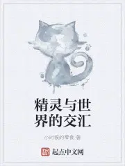 精灵与世界的交汇是什么