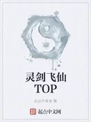 灵剑飞仙TOP