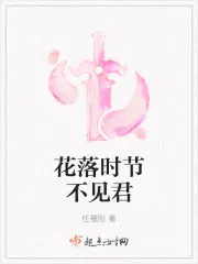 花落时节又逢君全文