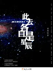 此去各自是星辰