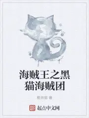 海贼王之黑猫海贼团