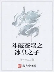 斗破苍穹之冰皇之子