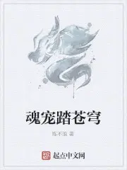 魂御苍穹