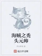 海贼王之元帅奶爸