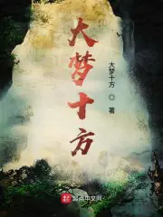 大梦十年小说