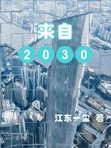 来自2036年的未来人