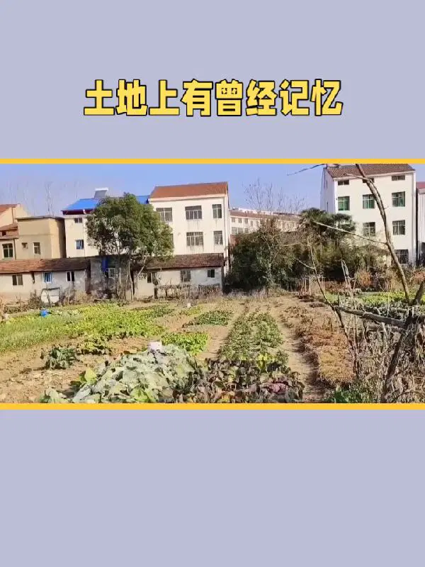 土地上面有什么