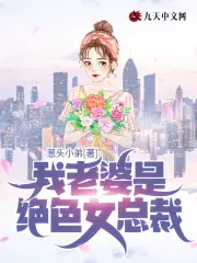 我老婆是美女总裁杨晨