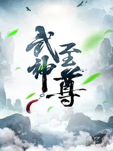 叶风 小说