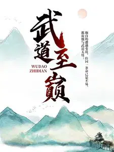 武道之巅笔趣阁