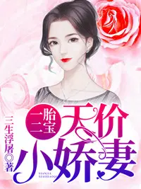 一胎二宝:天价小娇妻在线阅读