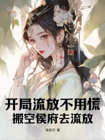 开局流什么意思