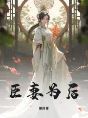 女主叫陆清婉