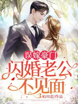 闪婚老公不见面小说