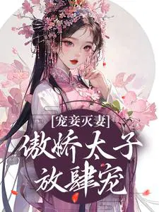 宠妾太子妃结局