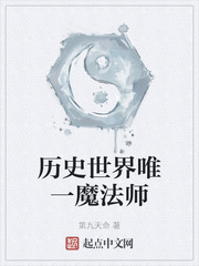 历史世界唯一魔法师师