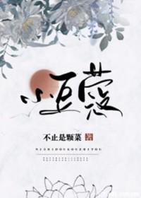 小豆蔻小说