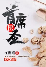 首席医圣小说