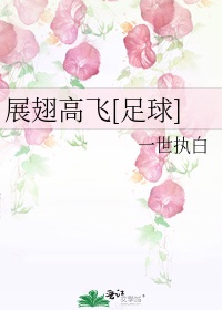 展翅高飞[足球]