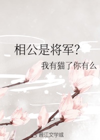 相公指什么