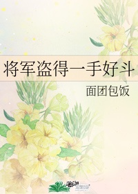 将军盗得一手好墓