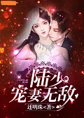 陆少宠妻无敌