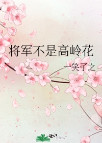 将军不可以高11