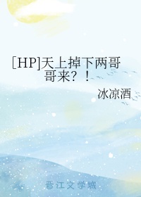 hp天上掉下个斯科皮