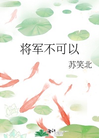 将军不可以