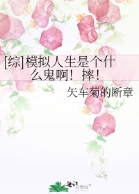 [综]模拟人生是个什么鬼啊！摔！