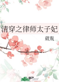 清穿之律师太子妃完本