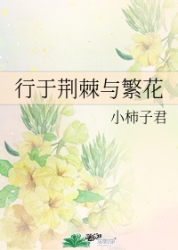 行于荆棘与繁花 小柿子君