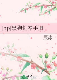 养黑狗有什么寓意