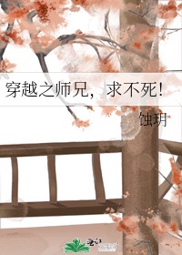 《穿越之师兄》