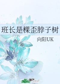 《班长是棵歪脖子树》作品:向阳uk