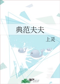 典范夫夫 上灵难逃真香定律天然呆