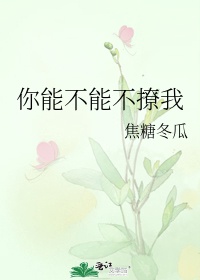 你能不能不撩我讲的什么