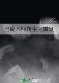 以魔术师为主角的小说